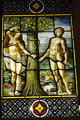 Адам & Єва